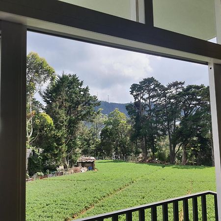 Green Mount View Two Bed Room Apartment Nuwara Eliya Luaran gambar