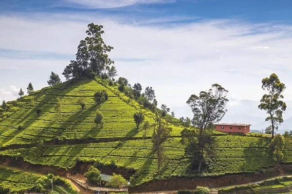 Green Mount View Two Bed Room Apartment Nuwara Eliya Luaran gambar