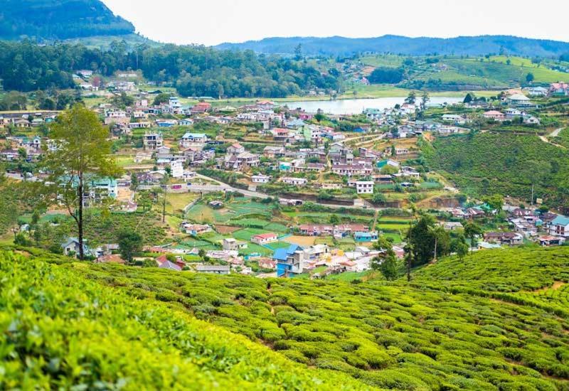 Green Mount View Two Bed Room Apartment Nuwara Eliya Luaran gambar